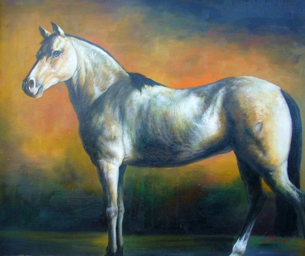 Horse's Portrait