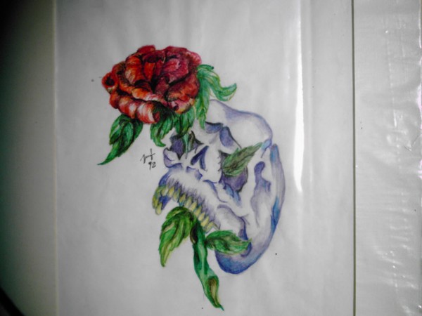 Skull Rose
