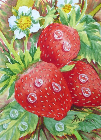Flowers and Berries