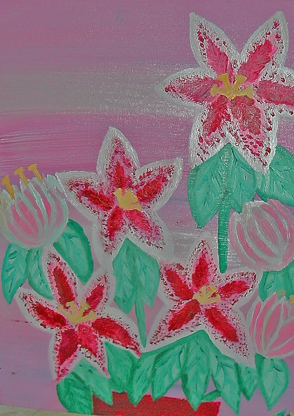 STARGAZER LILLIES BETTER PI