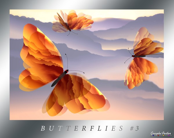 Butterflies #3