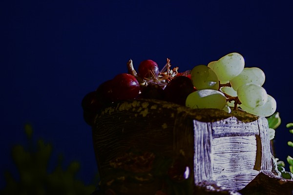 Moon Lit
