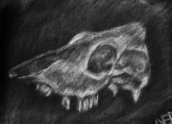 Poor Yorick.