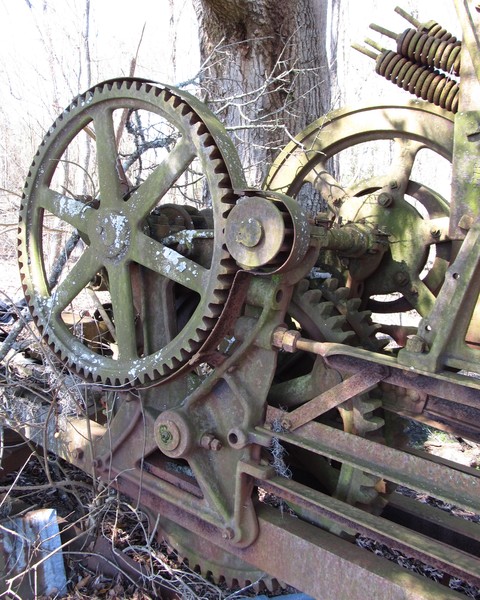 Gear