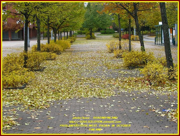 Länsi Pasila at fall :=))