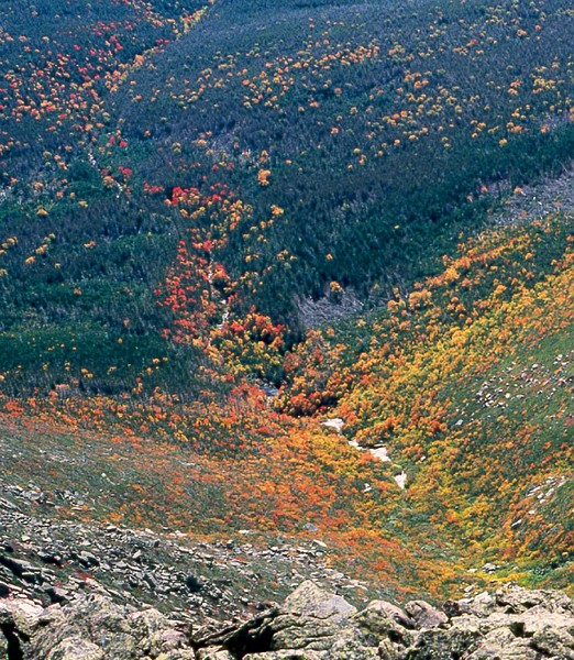 Early Fall Foliage on Katahdin slopes