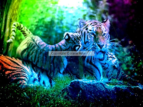 purrrfect love 1