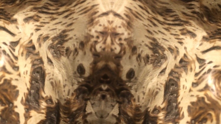 CD540258-11AA-4545-943B-4E09C0FF350B