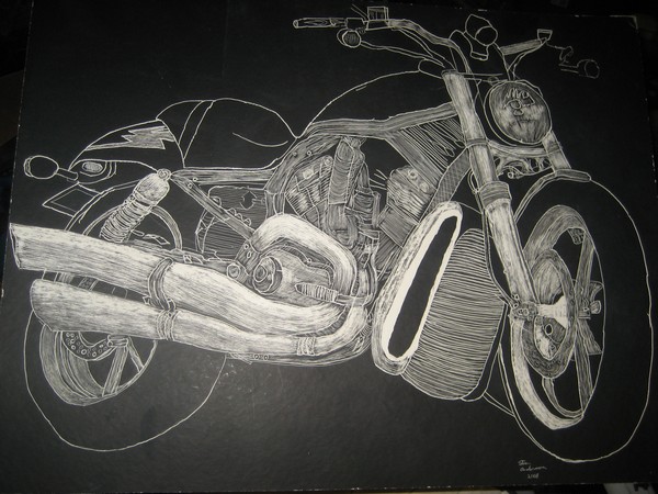 My V Rod