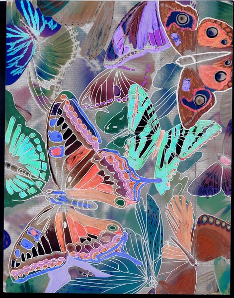 Cooler Fly