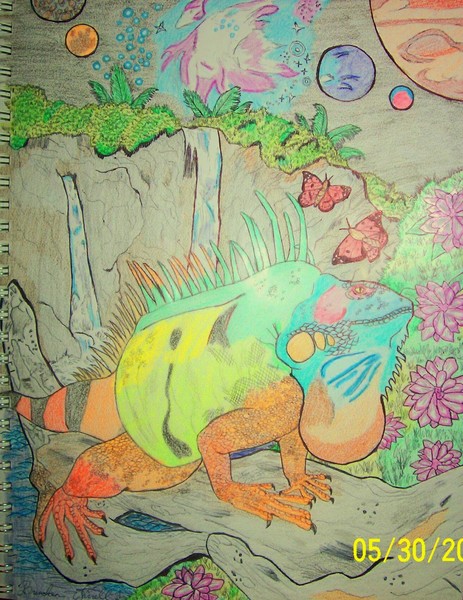 Iguana Isle