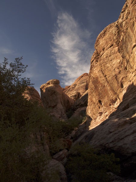 Desert Landscape