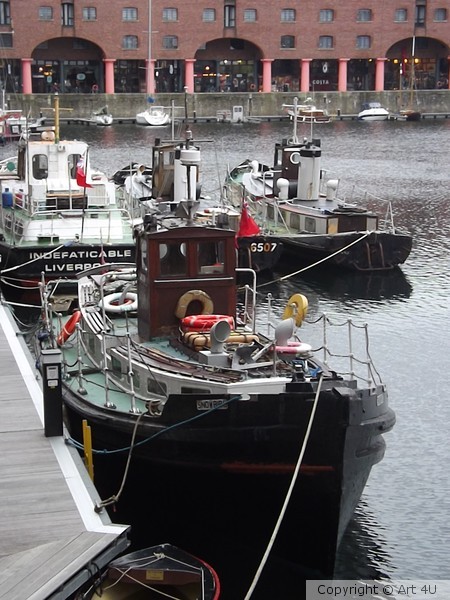 The Motor Vessel SnowBird