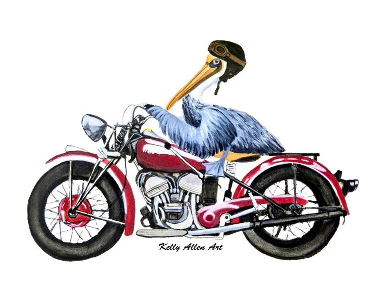 Pelican on motorcycle