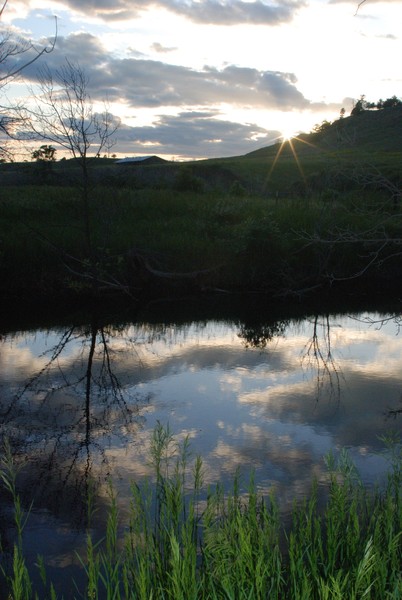 reflection