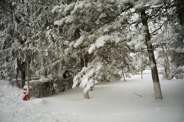 winter