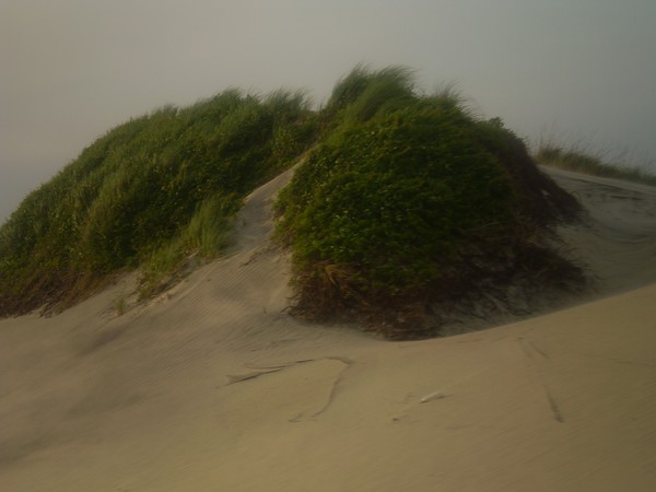 Sand Dunes
