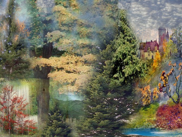 Autumn Expressions