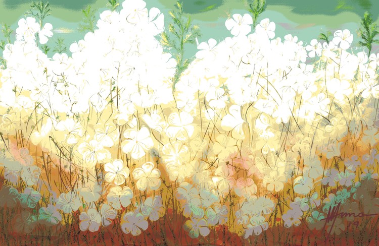 AZALEA aw