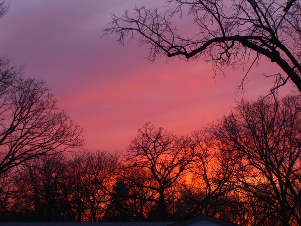 Sundown In Front of My House