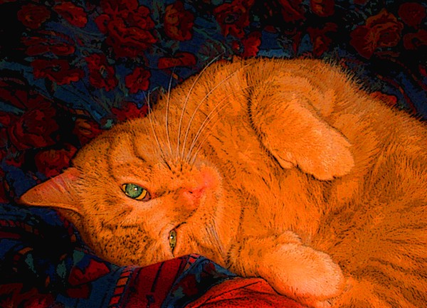 Butterscotch 2