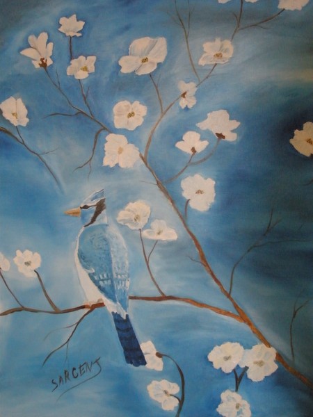 bluejay