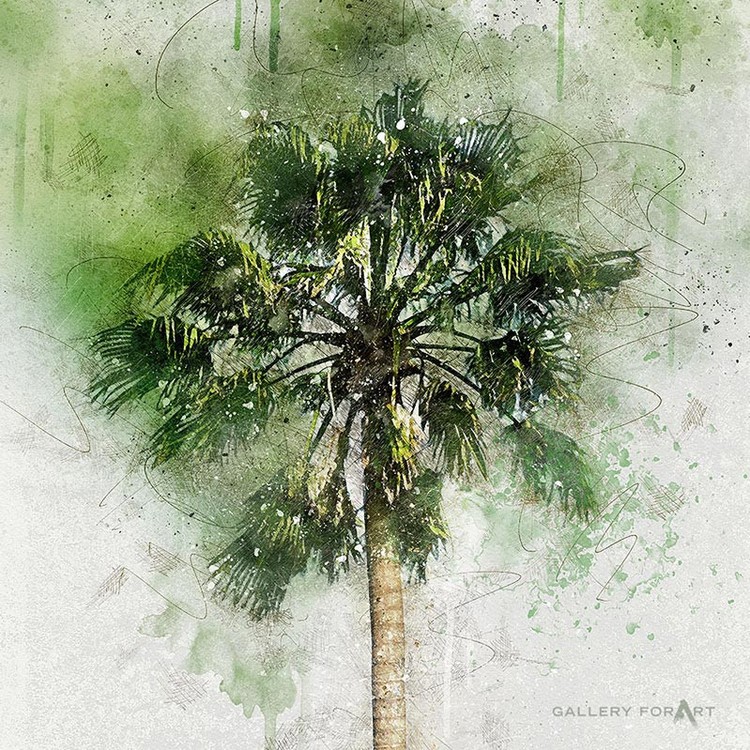 PALM GREEN BEAUTY-04