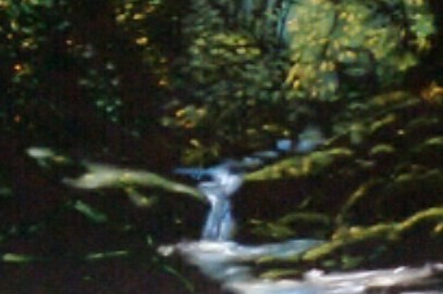Mountain Stream