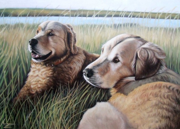 Two Golden Retriever