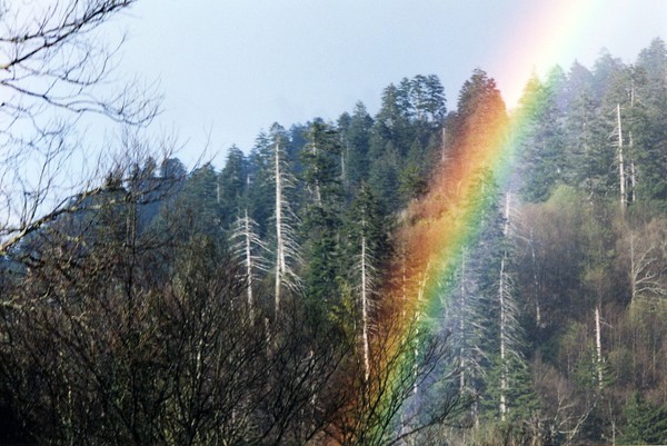 After the Storm