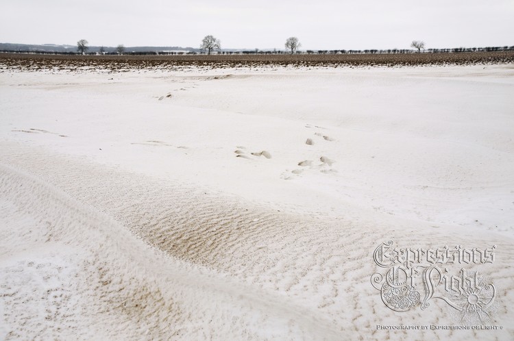 ExpoLight-The-Lincolnshire-Wolds-Winter-18-03-2018-0007 (SP)