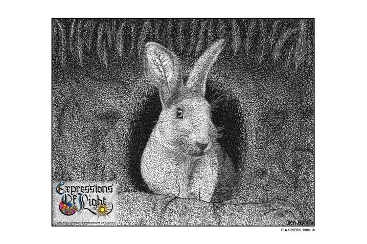 ExpoLight-Graphic-Arts-Rabbit-1989-0001 (Pen-&-Ink-Mono-SP)