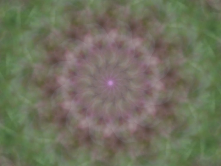 Birthing Mandala 3