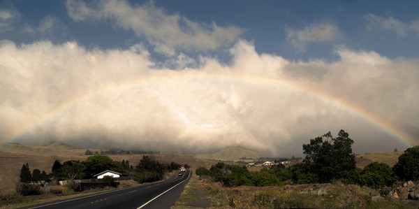 On the Road to Hilo