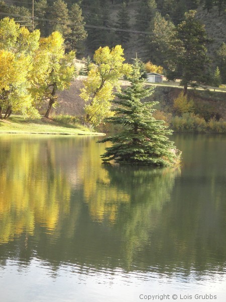 Fall Foilage Sept 2011 My camera 071