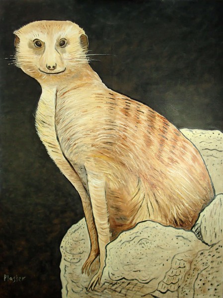 Monty Meerkat