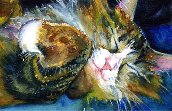 Cats Eyes #14