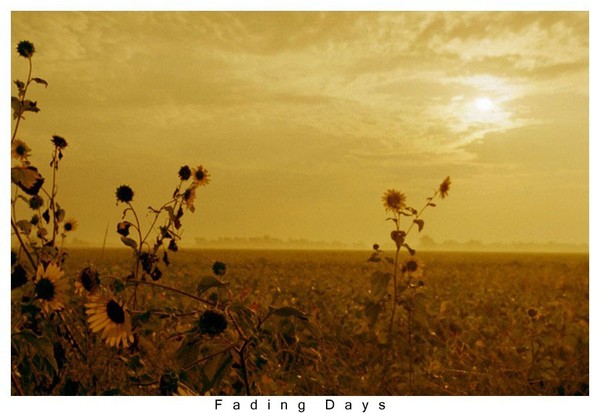 Fading Days