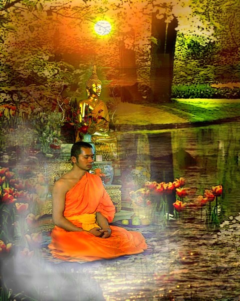 TRANSCENDENCE