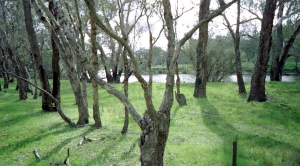 river home  town 