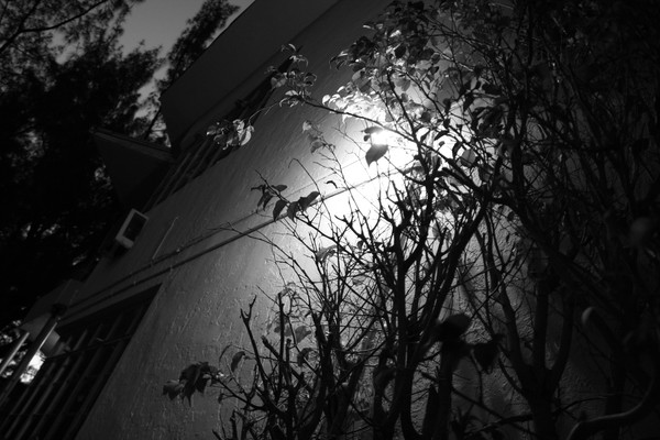 Untitled