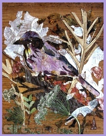 Violet Bird