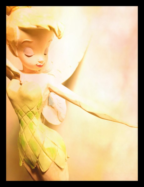 Let Your Dreams Blossom