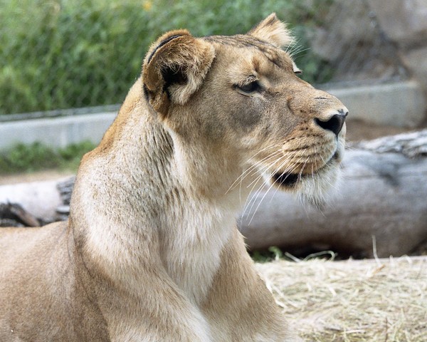 What's going on over there?