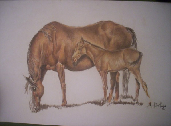 caballo 15