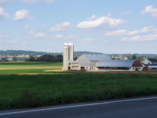 Late day on the farm