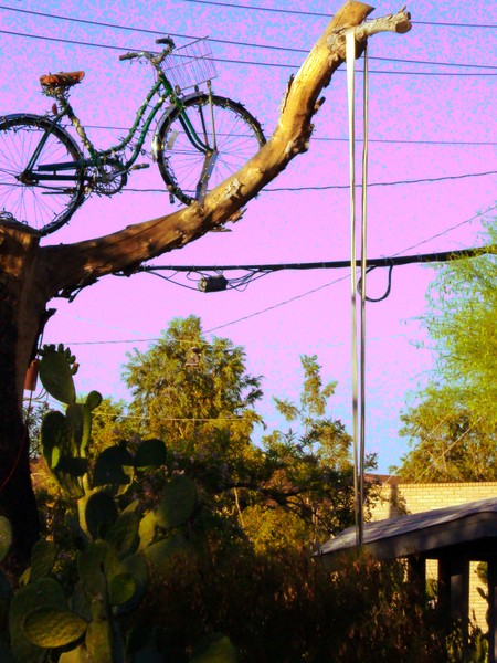 The Wheel in the Sky~