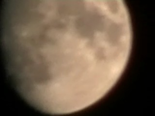 The Summer Moon