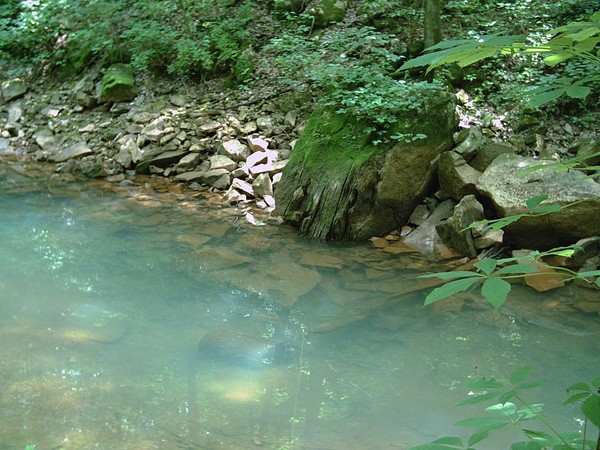 limestone pool