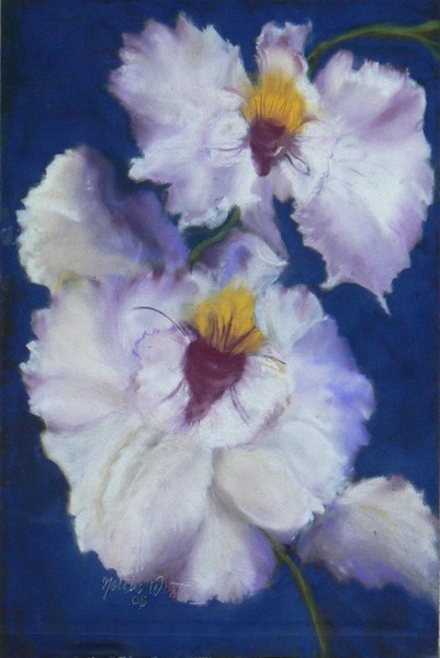 Cascading Orchids